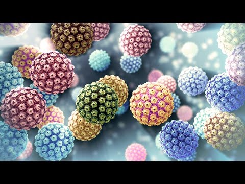 hpv virus