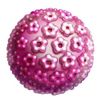 da li je hpv virus zarazan 
