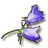 gorskicar's Avatar